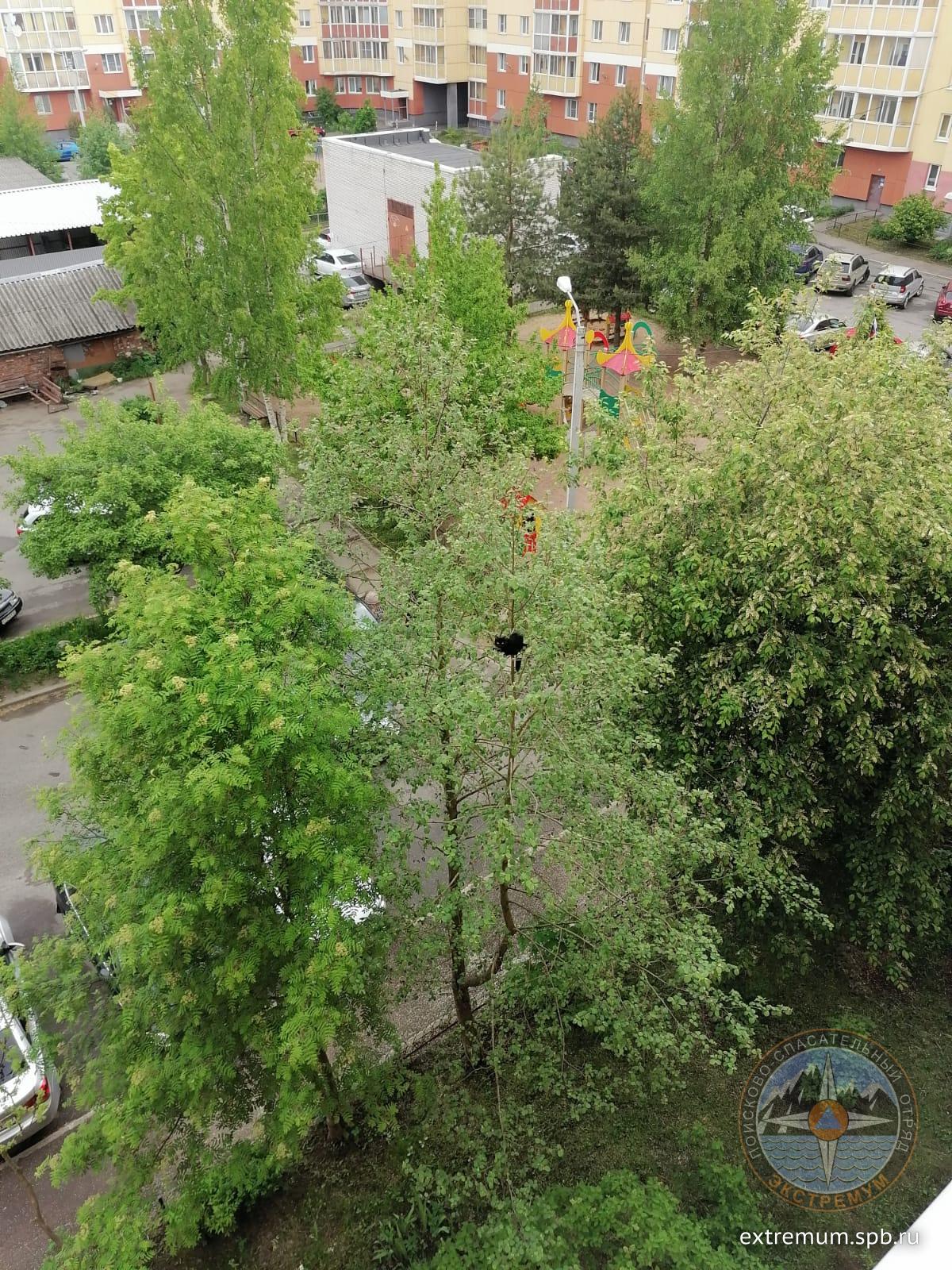 WhatsApp Image 2022-06-04 at 11.01.01.jpeg