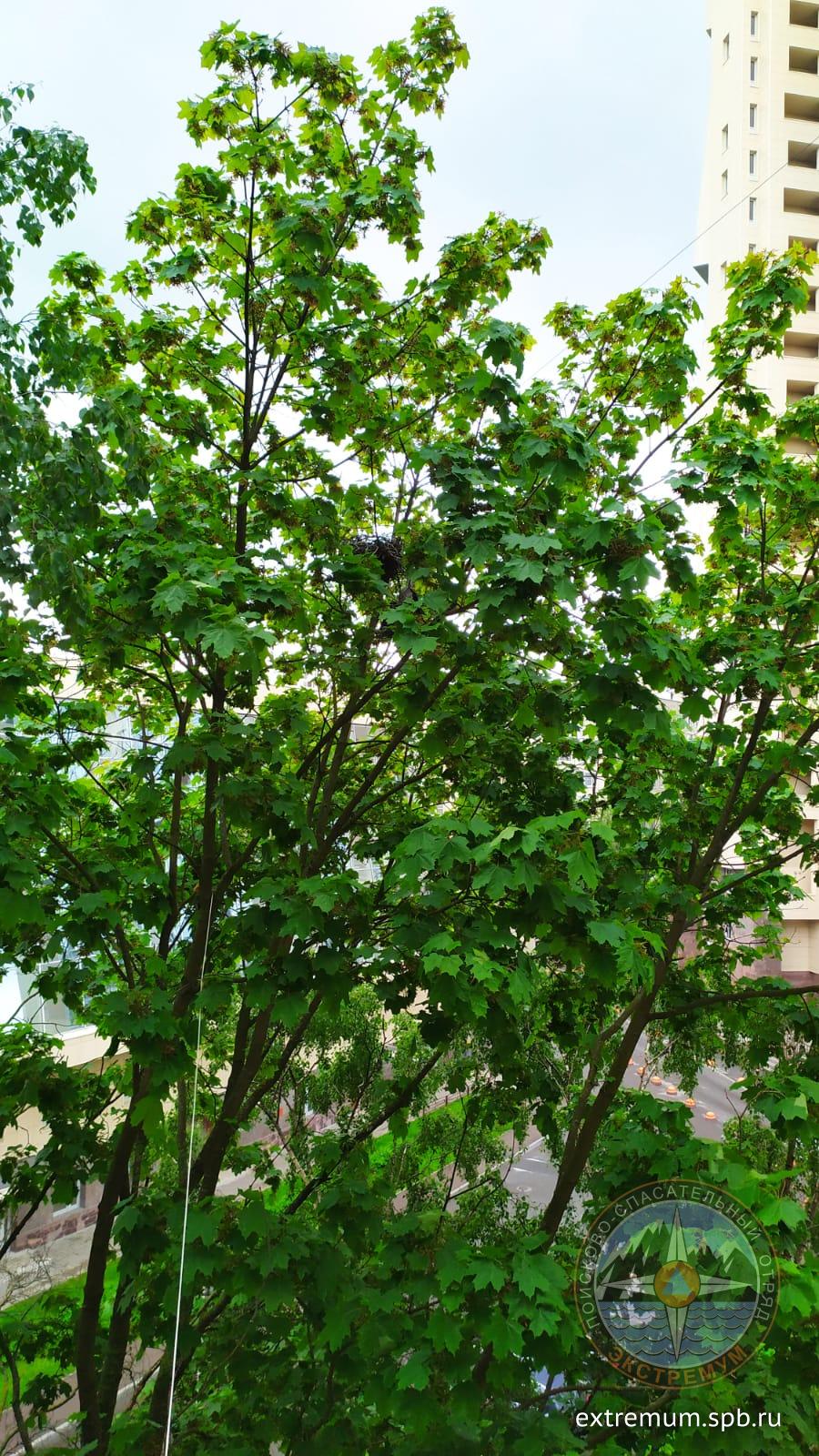 WhatsApp Image 2022-06-04 at 11.20.11.jpeg