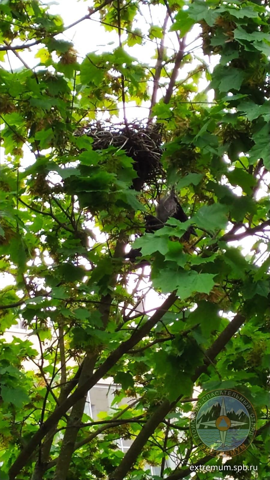 WhatsApp Image 2022-06-04 at 11.20.03.jpeg