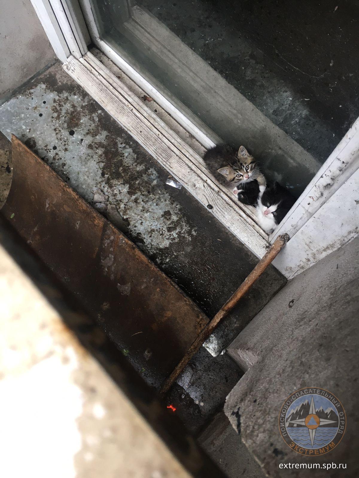 WhatsApp Image 2022-06-05 at 10.59.43.jpeg