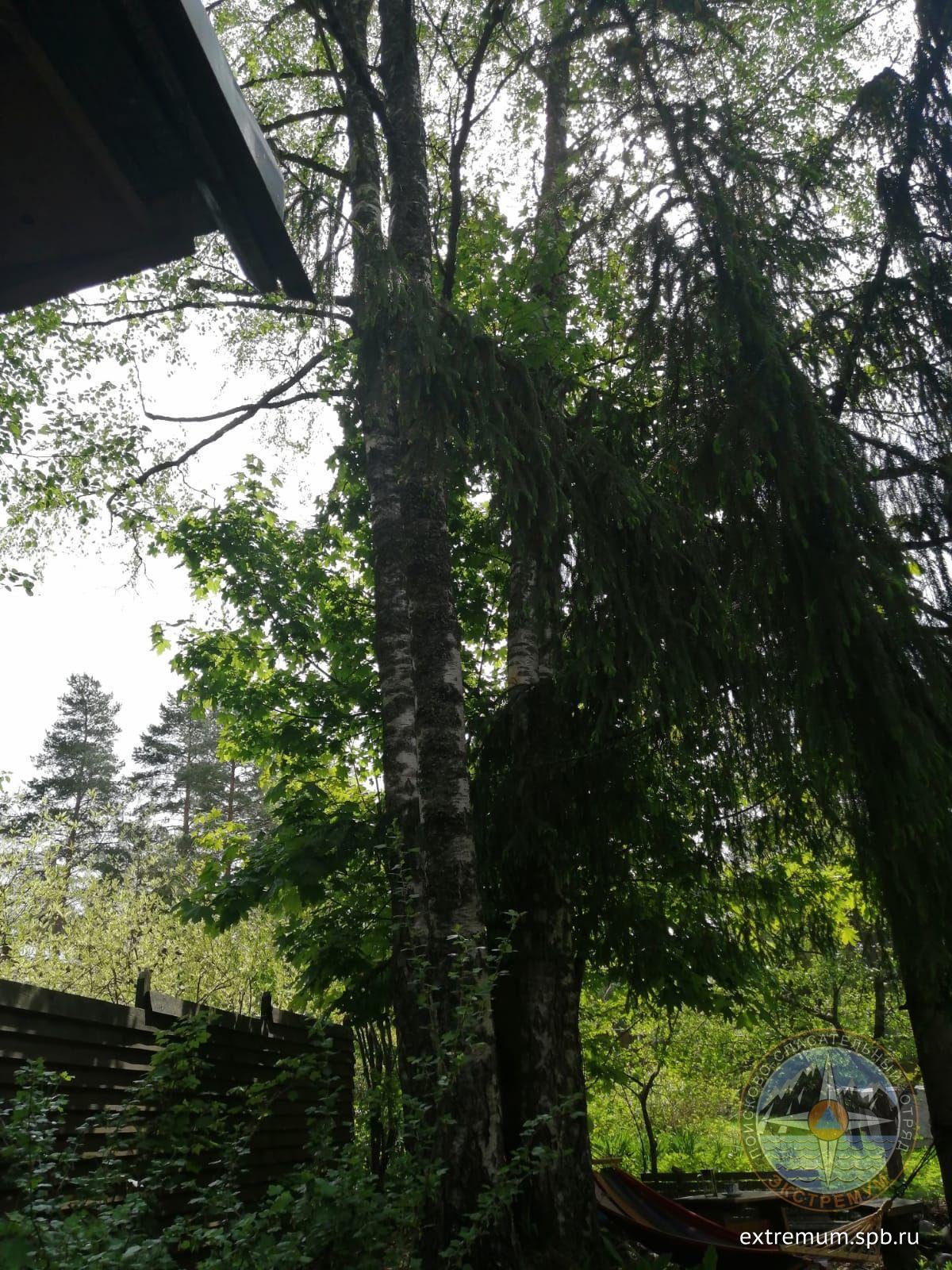 WhatsApp Image 2022-06-05 at 13.24.07.jpeg