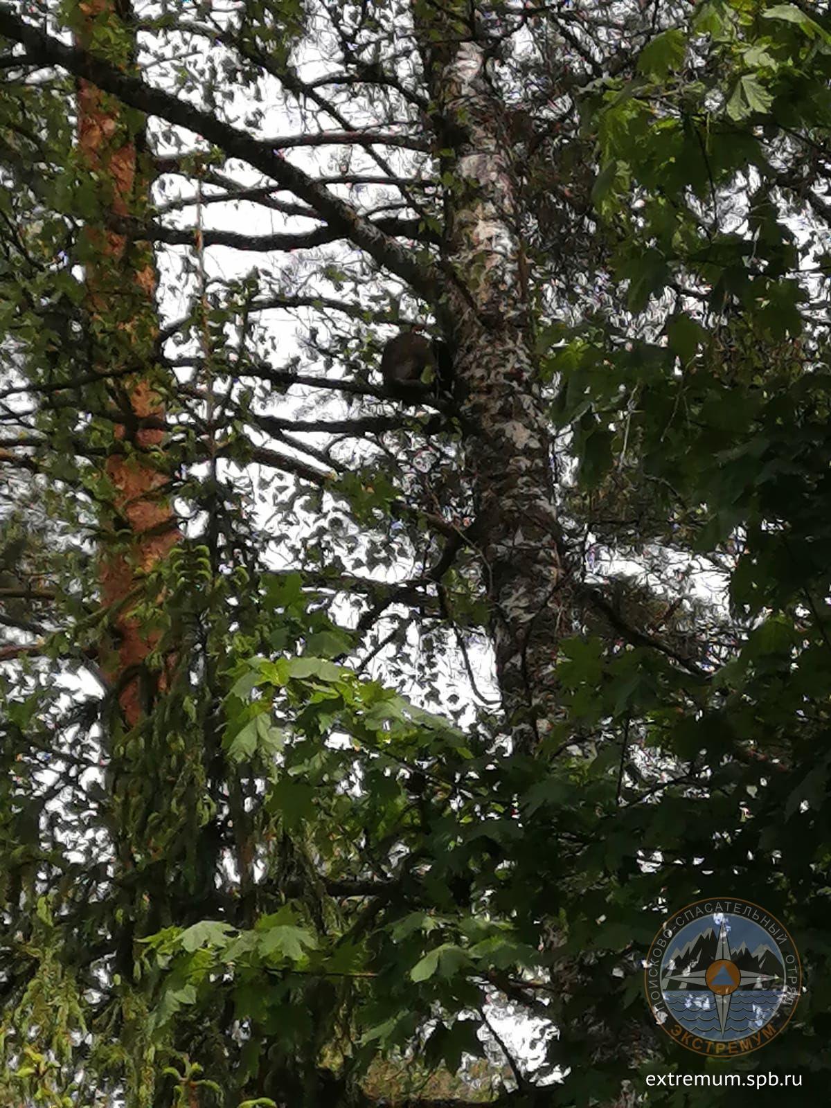 WhatsApp Image 2022-06-05 at 13.24.08.jpeg