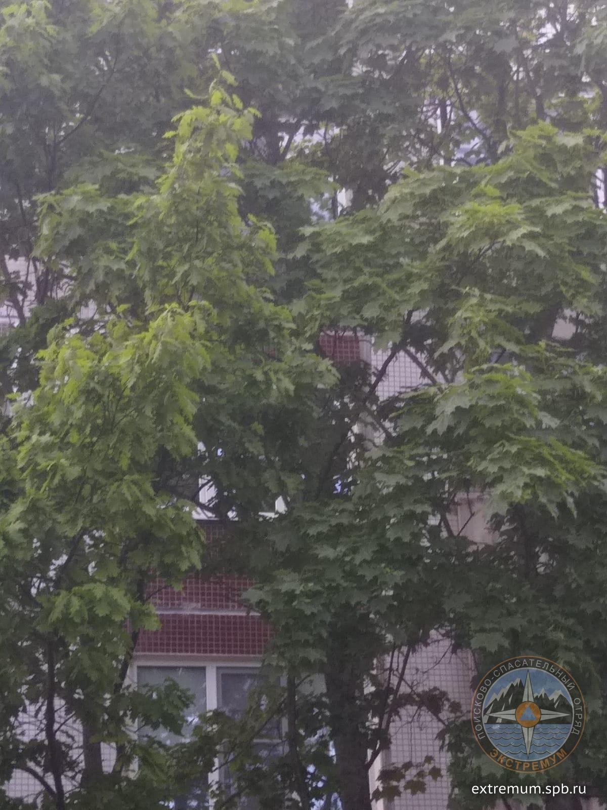 WhatsApp Image 2022-06-05 at 19.51.58.jpeg