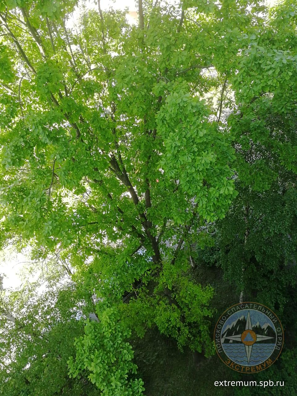 WhatsApp Image 2022-06-08 at 10.17.42 (1).jpeg