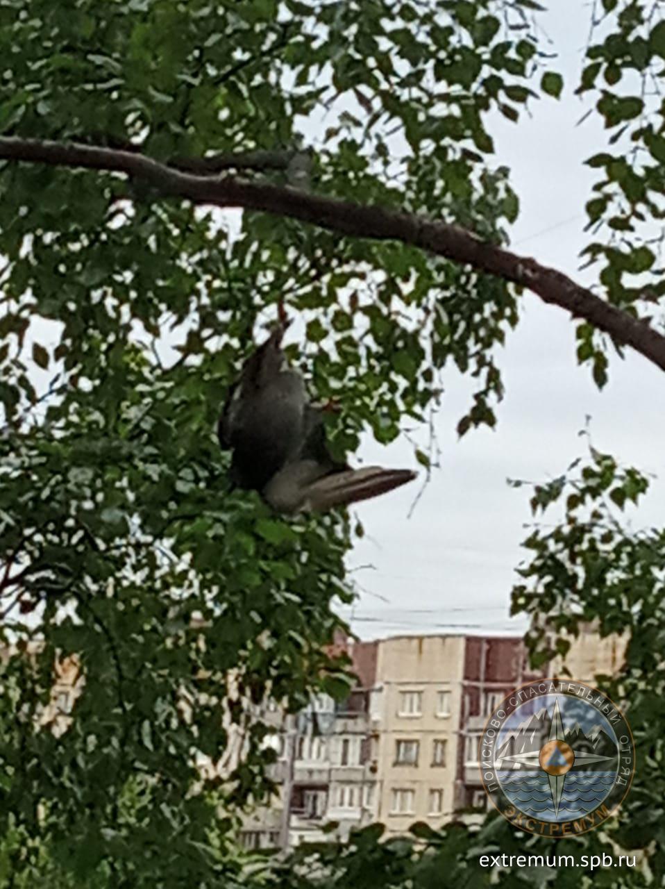 WhatsApp Image 2022-06-08 at 14.57.39.jpeg