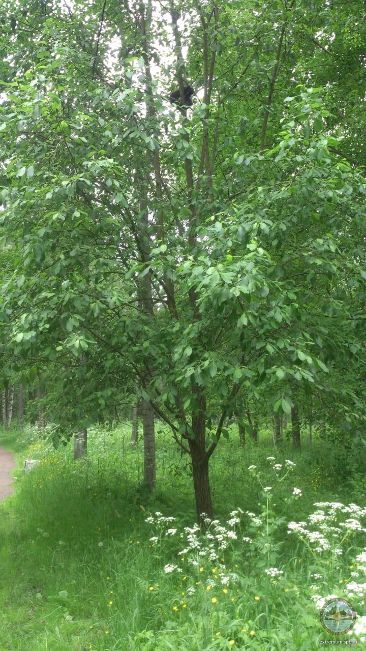 6k2ziT_U1gWFh_b1tQzaQwfvhTbWSmS87eUj1sIJO6iSstIDTMavIVhhe44uxBQ4jVuhn30VZV1B5mzaIq7zBFto.jpg