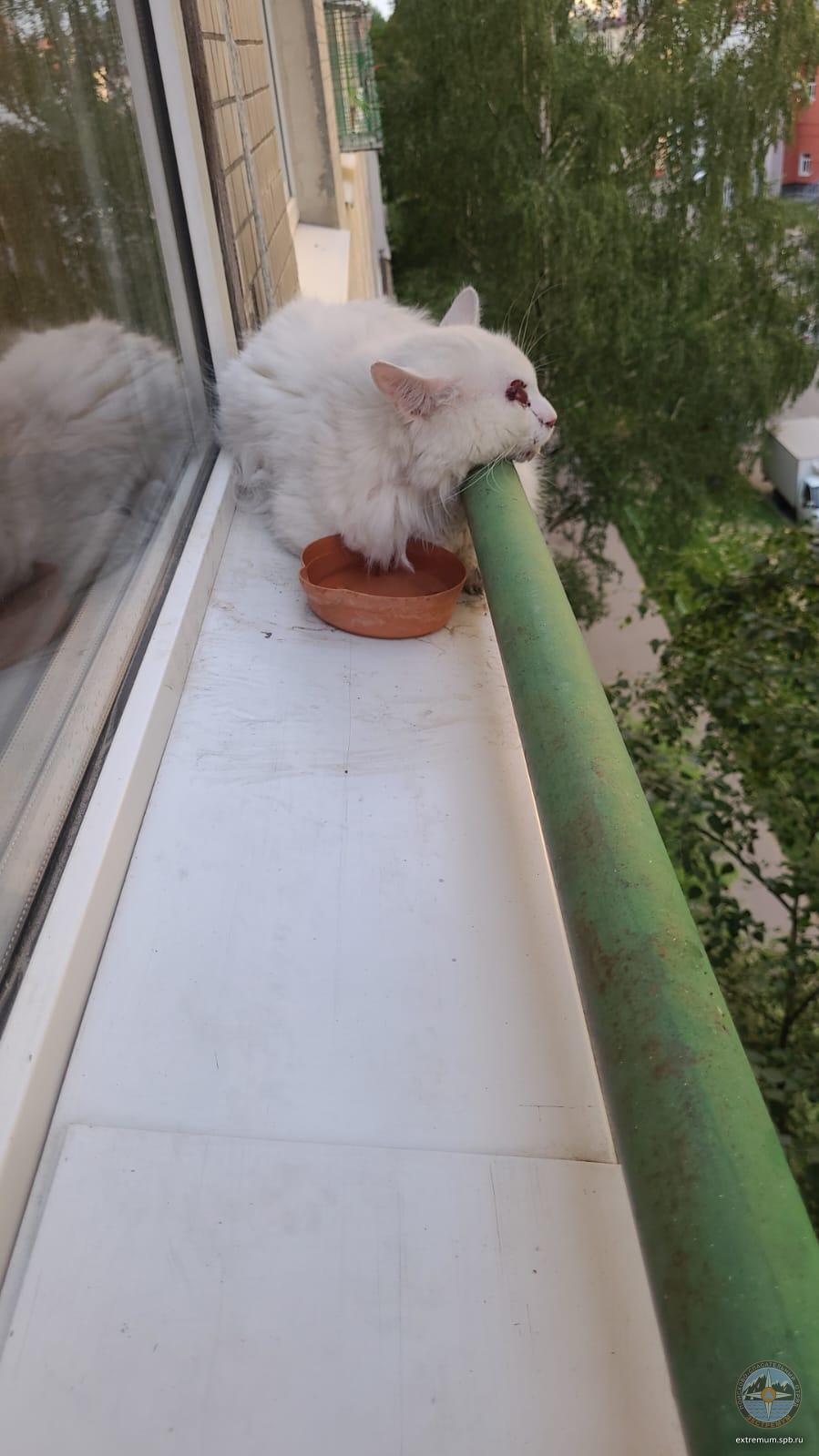 WhatsApp Image 2022-07-03 at 20.46.05.jpeg