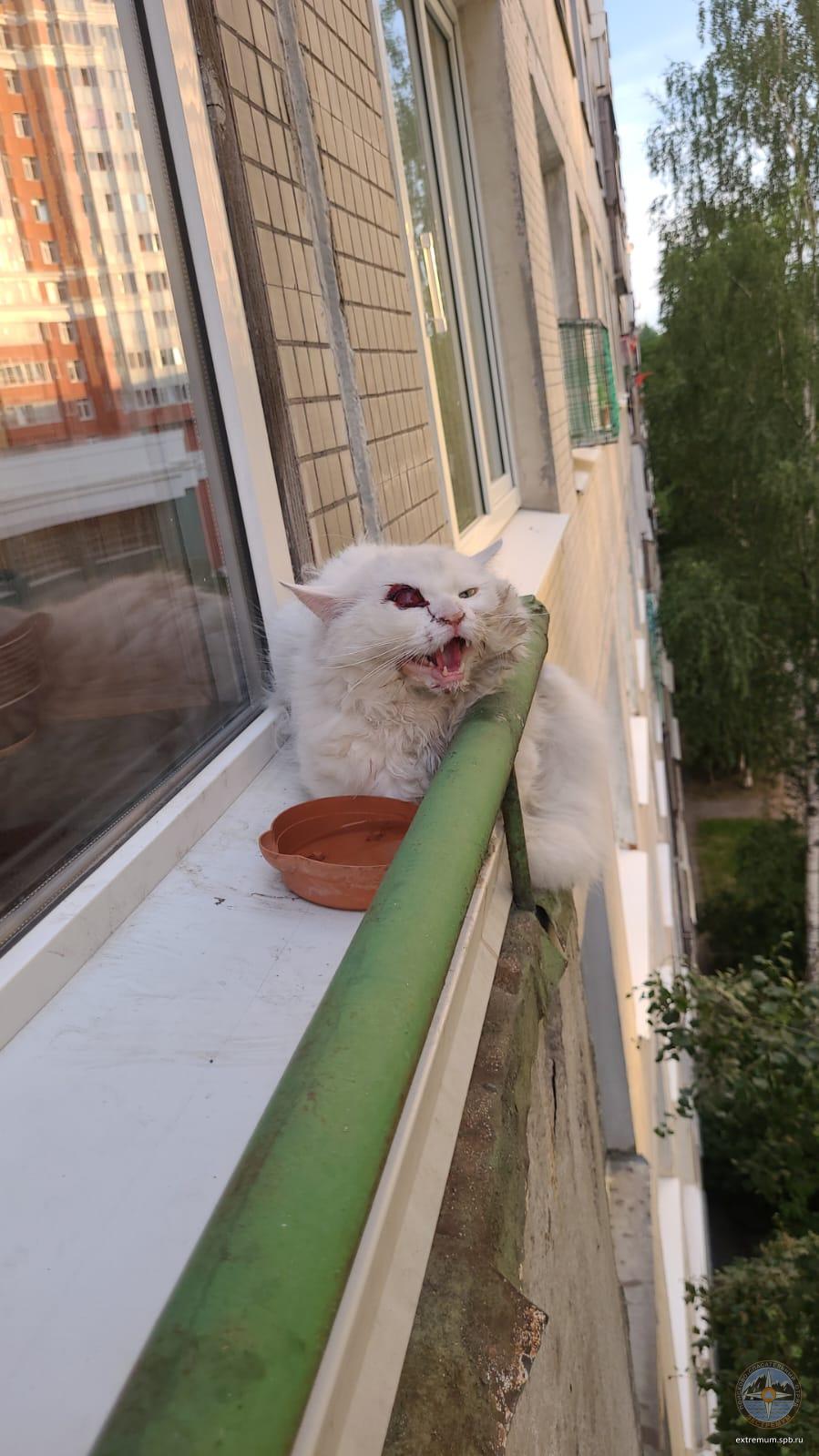 WhatsApp Image 2022-07-03 at 20.46.39.jpeg