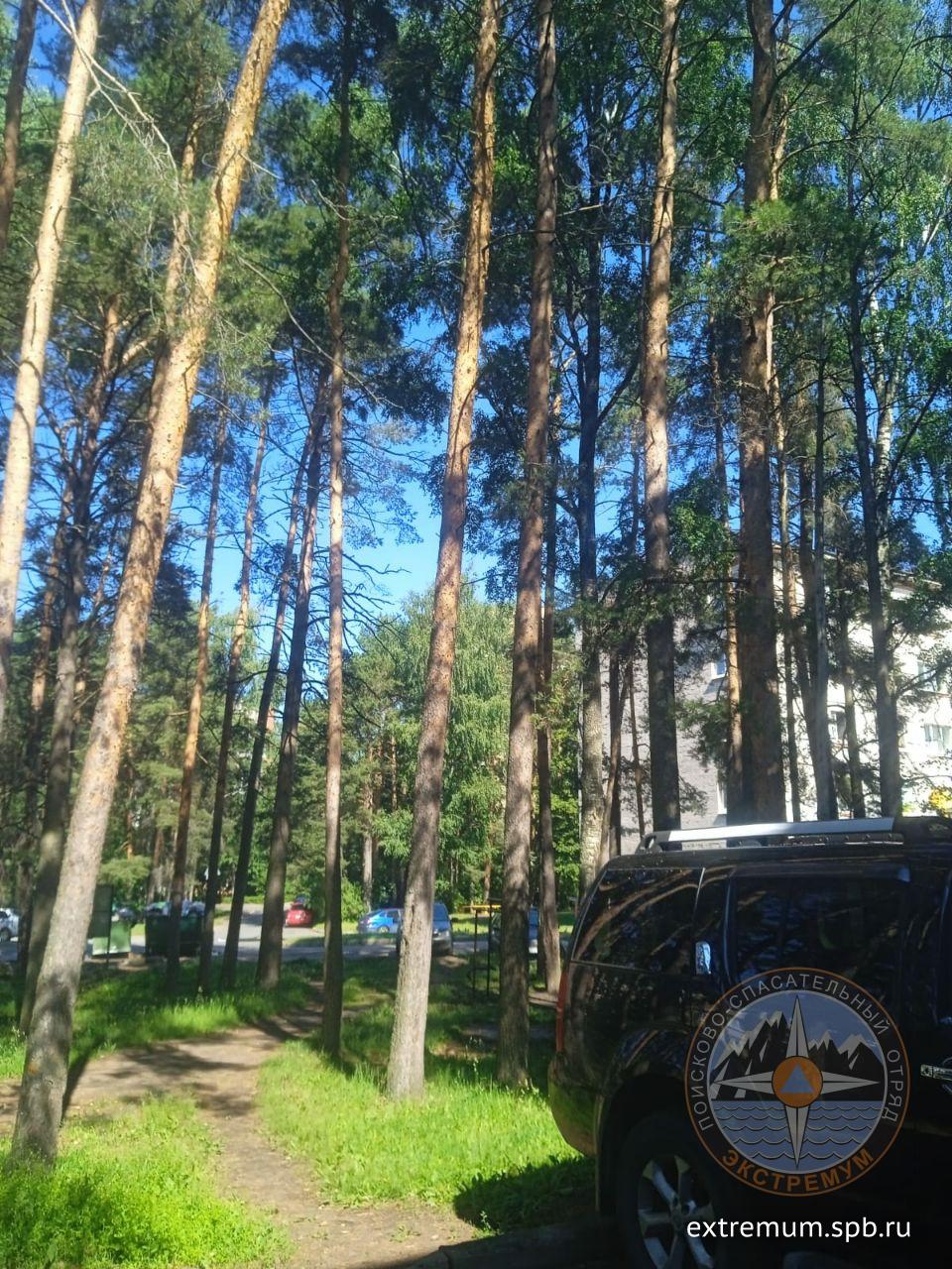 ролдлорпаролд0-55-14.jpg