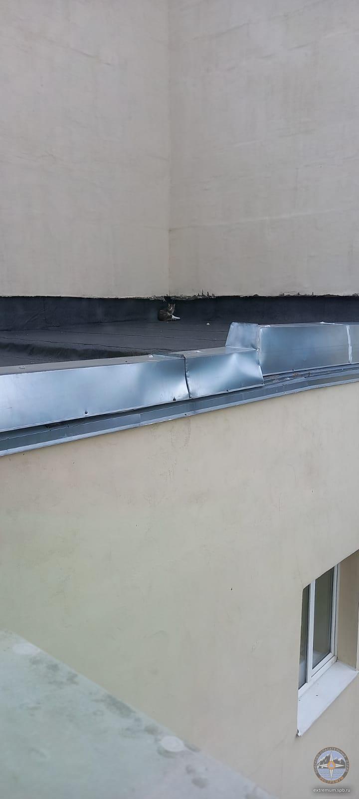 WhatsApp Image 2022-07-31 at 11.46.24.jpeg