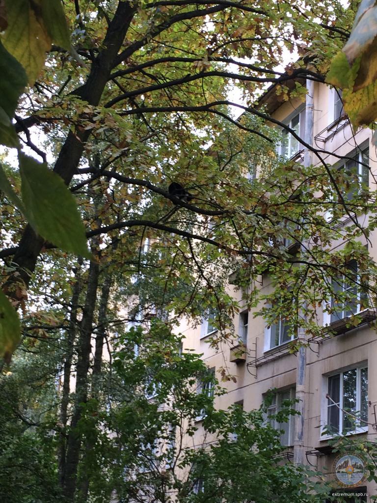 WhatsApp Image 2022-09-28 at 16.11.18.jpeg