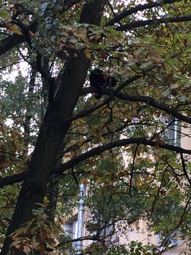 WhatsApp Image 2022-09-28 at 16.11.17.jpeg