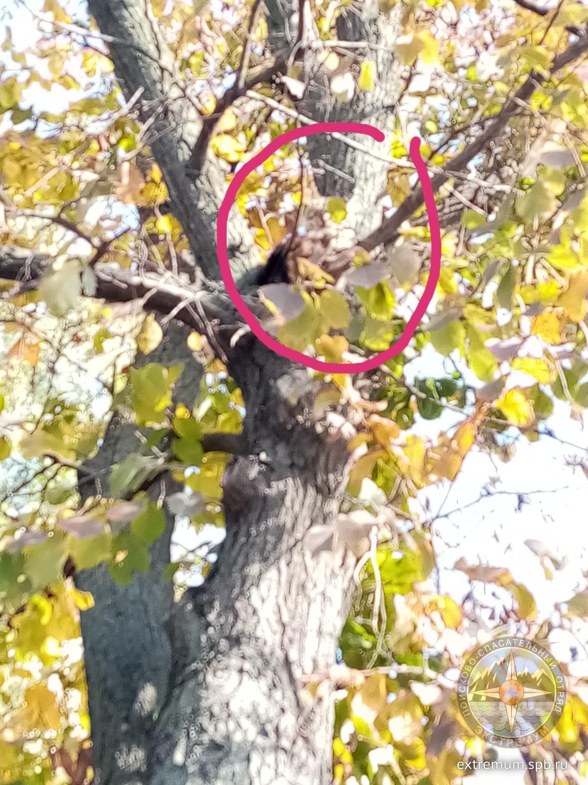 WhatsApp Image 2022-10-10 at 12.01.02.jpeg