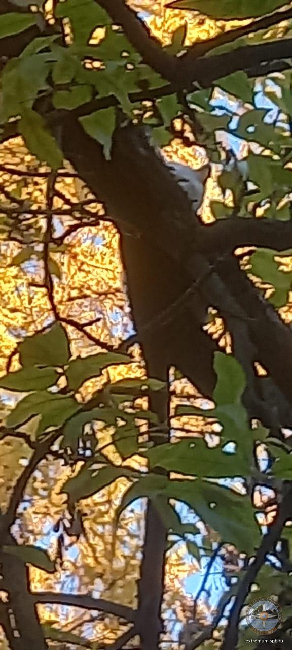 WhatsApp Image 2022-10-12 at 17.09.10.jpeg