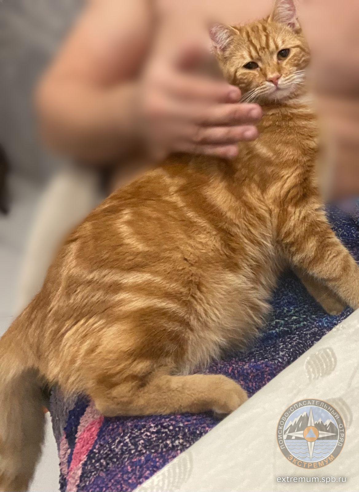 WhatsApp Image 2022-10-14 at 12.19.54.jpeg