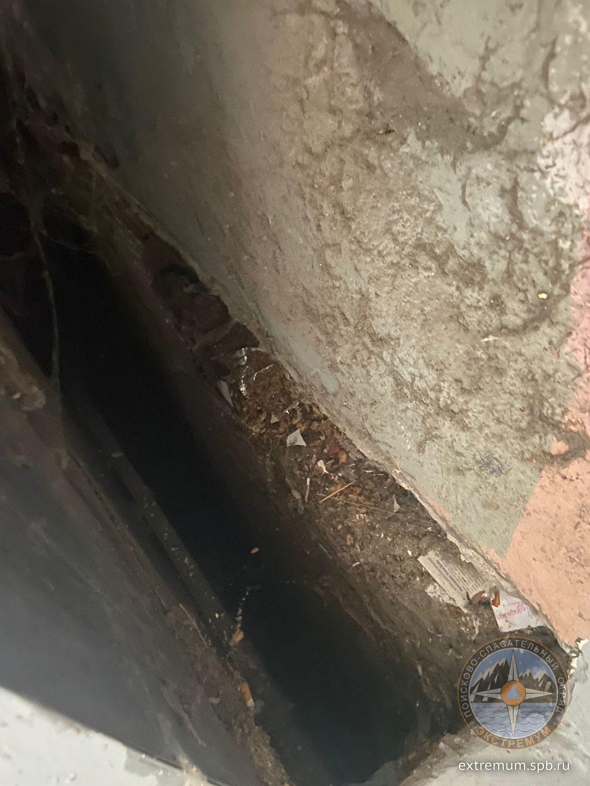 WhatsApp Image 2022-10-14 at 12.19.02 (1).jpeg