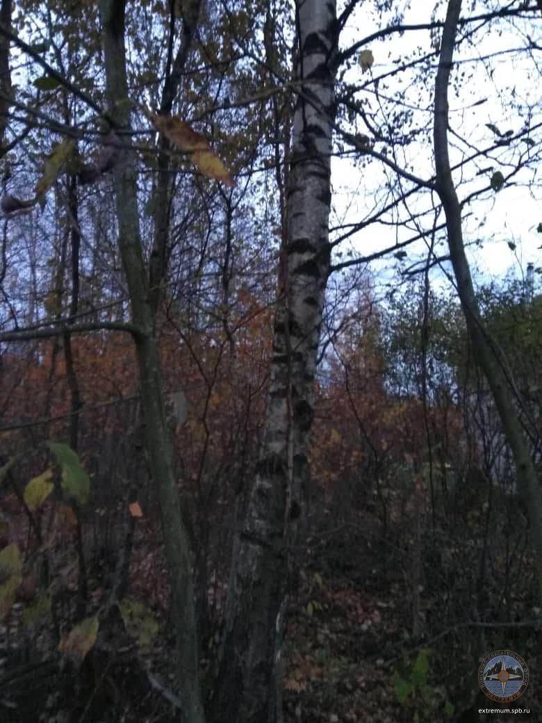 WhatsApp Image 2022-10-14 at 18.07.22.jpeg