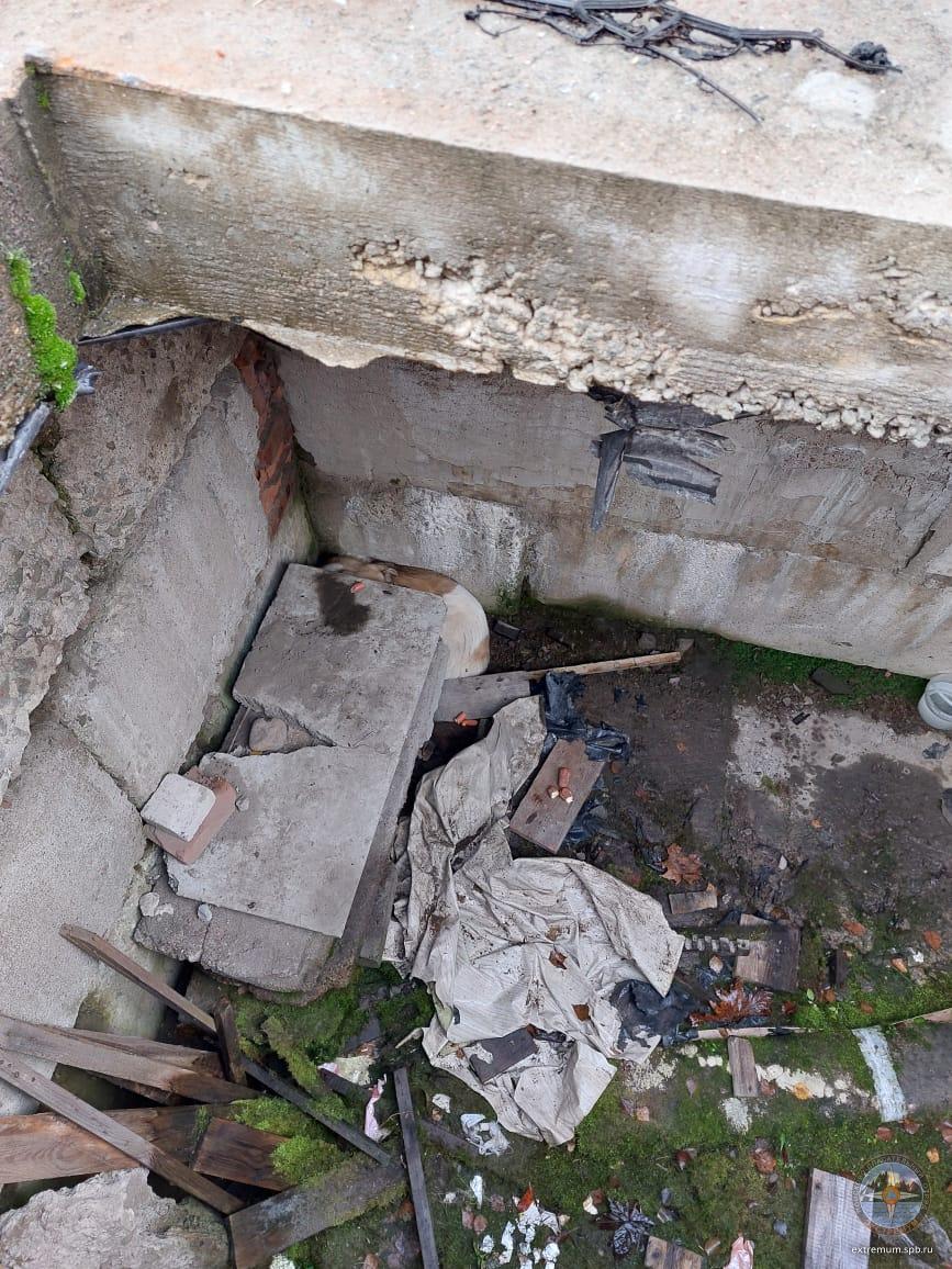 WhatsApp Image 2022-10-15 at 15.10.15.jpeg