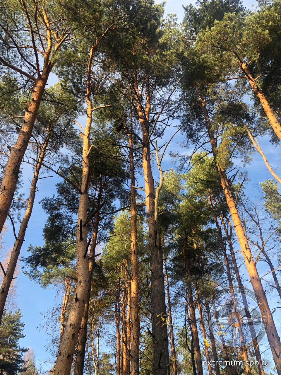 WhatsApp Image 2022-10-24 at 15.21.25 (1).jpeg