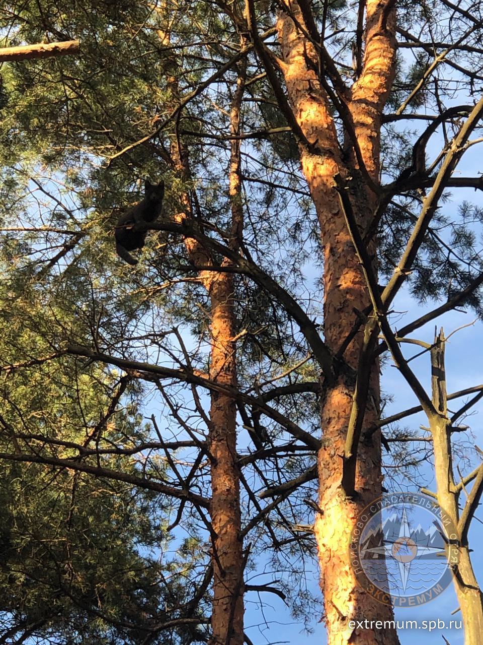 WhatsApp Image 2022-10-24 at 15.21.25.jpeg