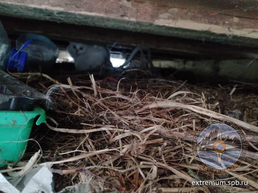 WhatsApp Image 2023-01-06 at 15.46.49.jpeg