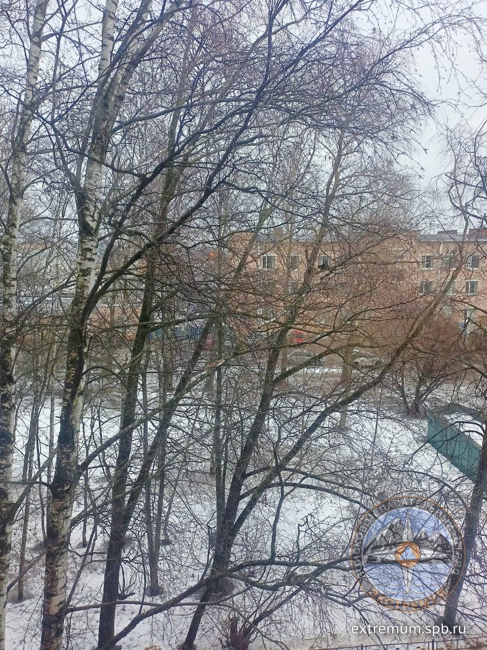 WhatsApp Image 2023-01-15 at 10.13.05 (1).jpeg