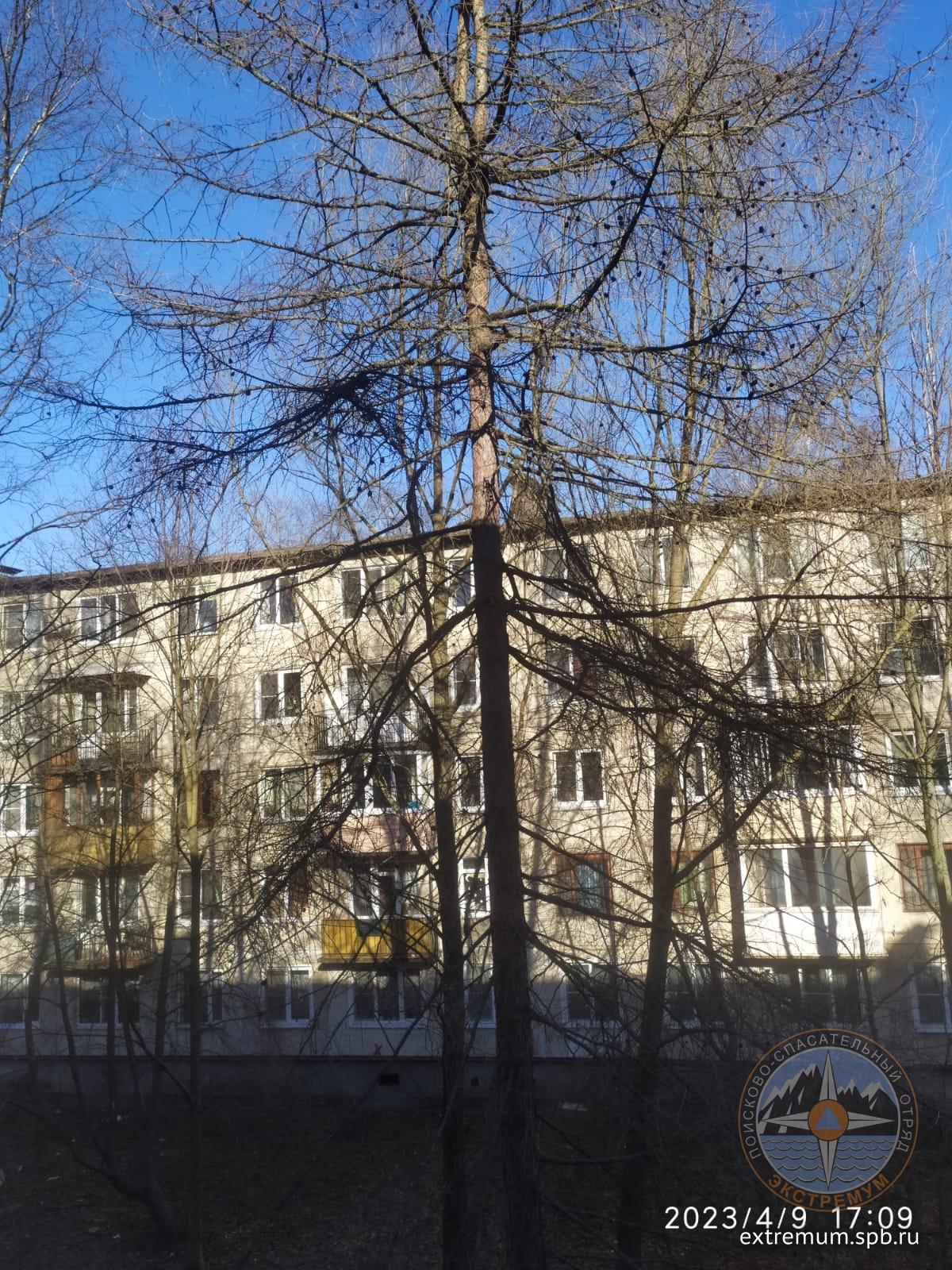 IMG-20230409-WA0012.jpg