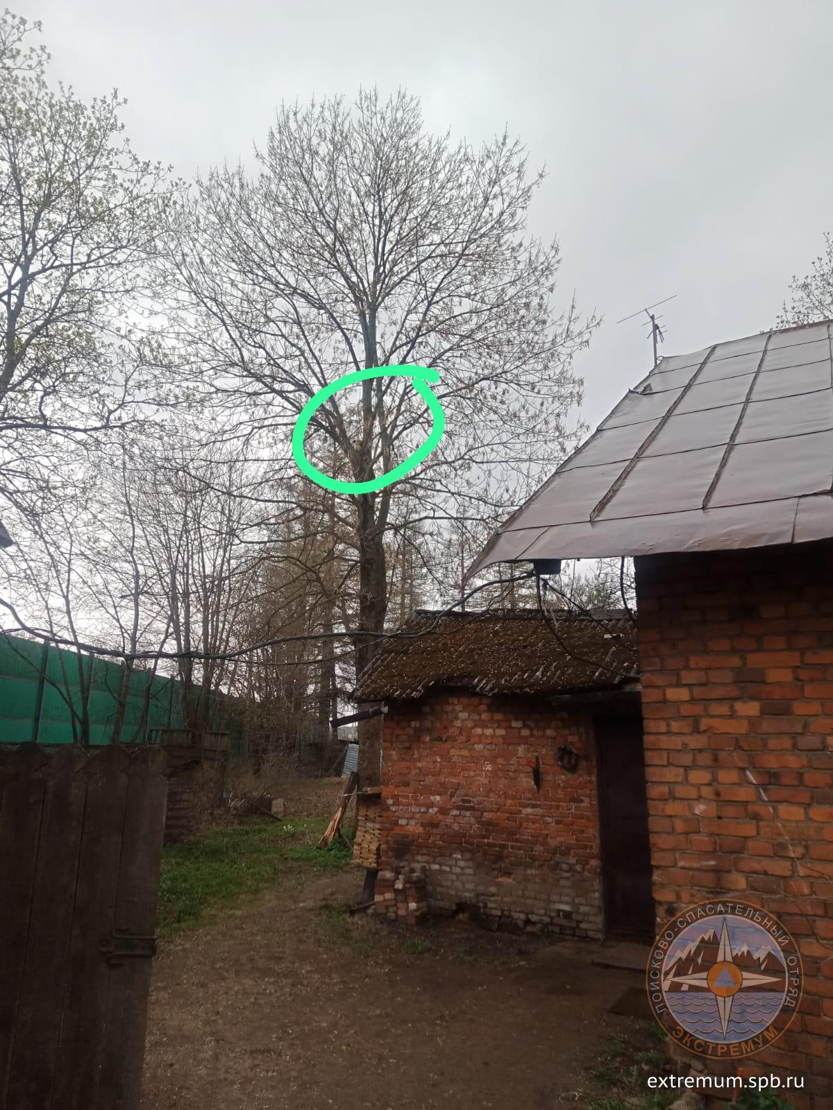 IMG-20230430-WA0002.jpg