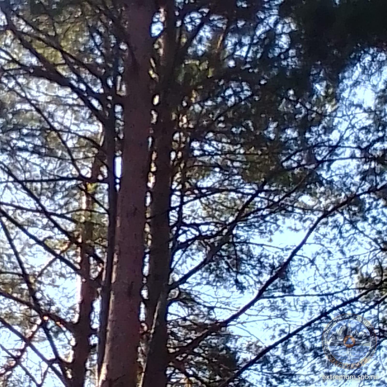 IMG-20230511-WA0001.jpg