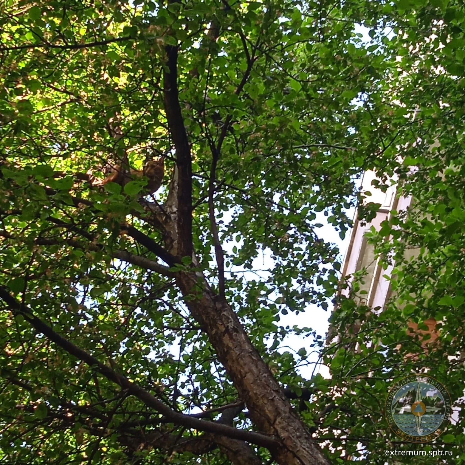 IMG-20230529-WA0008.jpg