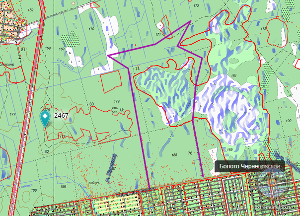 Мшинская в ночь.png