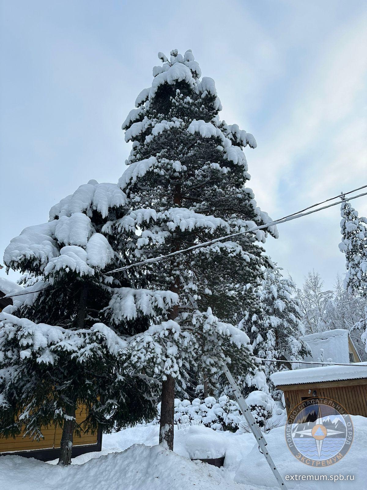 WhatsApp Image 2024-01-01 at 13.50.57.jpeg