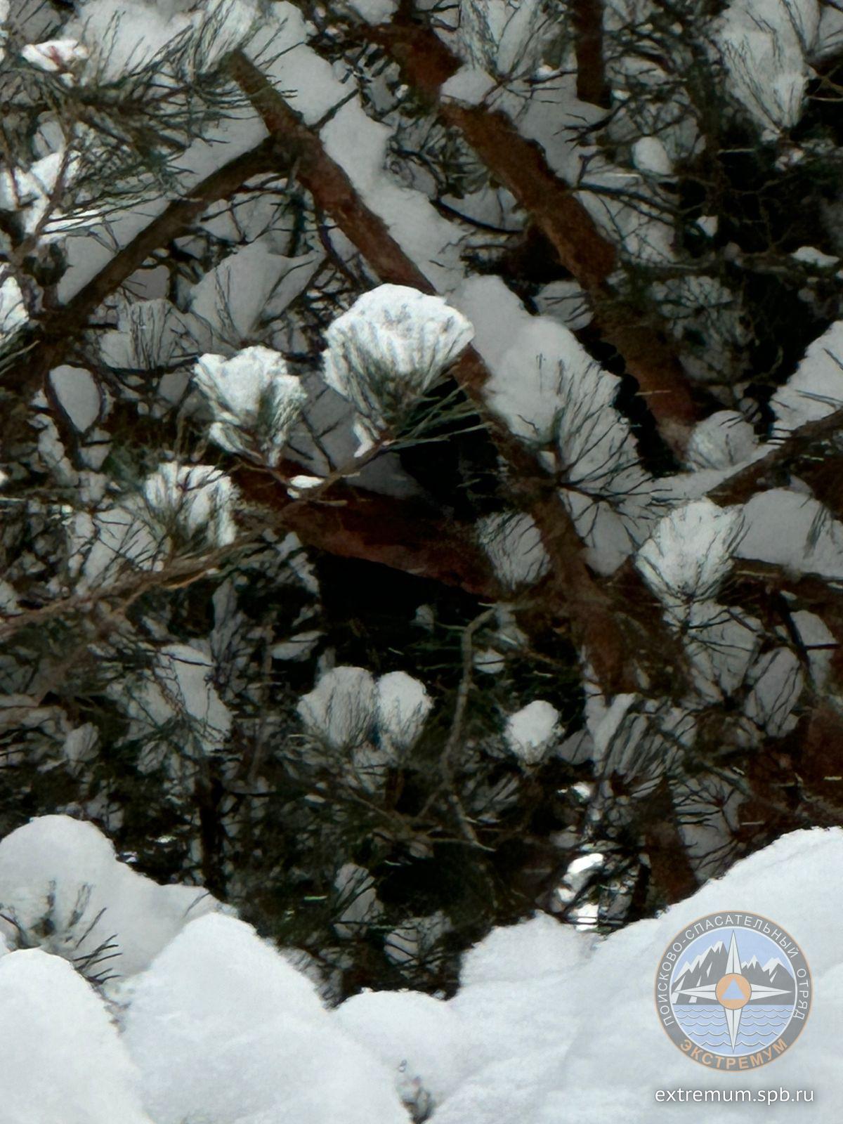 WhatsApp Image 2024-01-01 at 13.50.59.jpeg