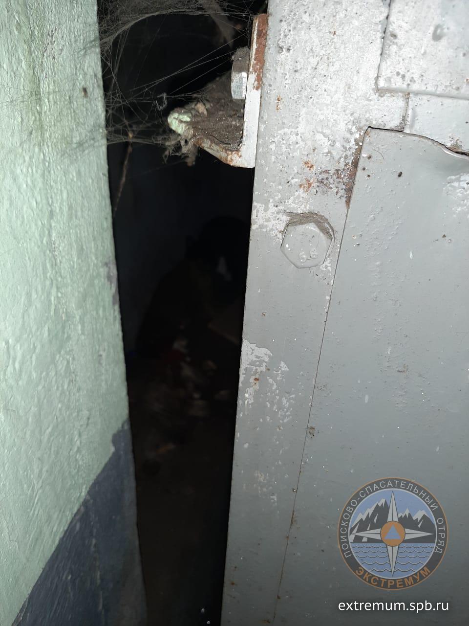 WhatsApp Image 2024-01-08 at 16.31.57.jpeg