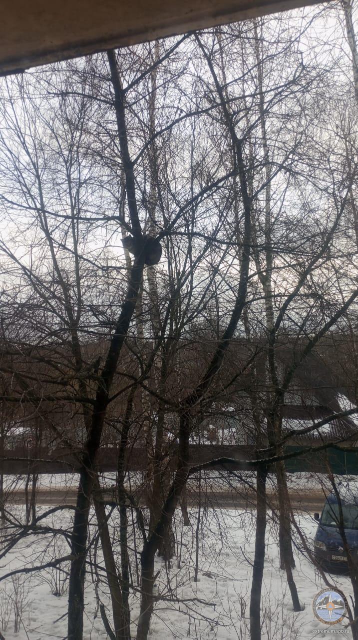 WhatsApp Image 2024-02-04 at 18.39.05.jpeg