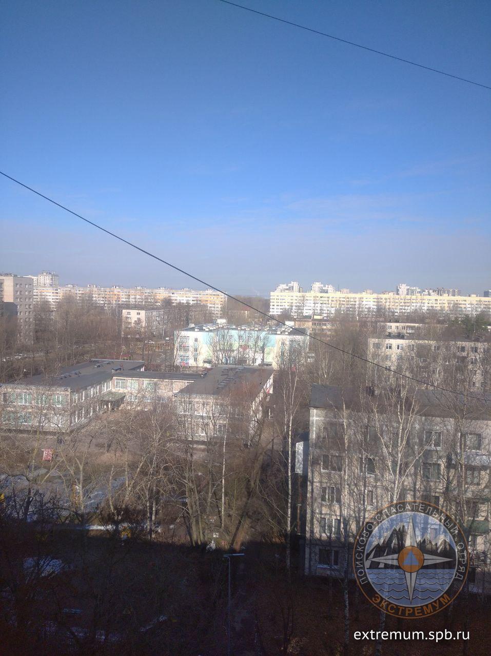 17.jpg