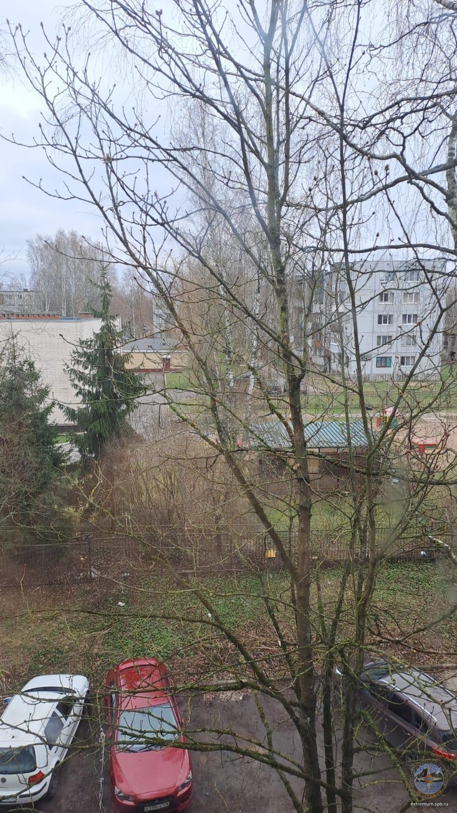 IMG-20240414-WA0006.jpg