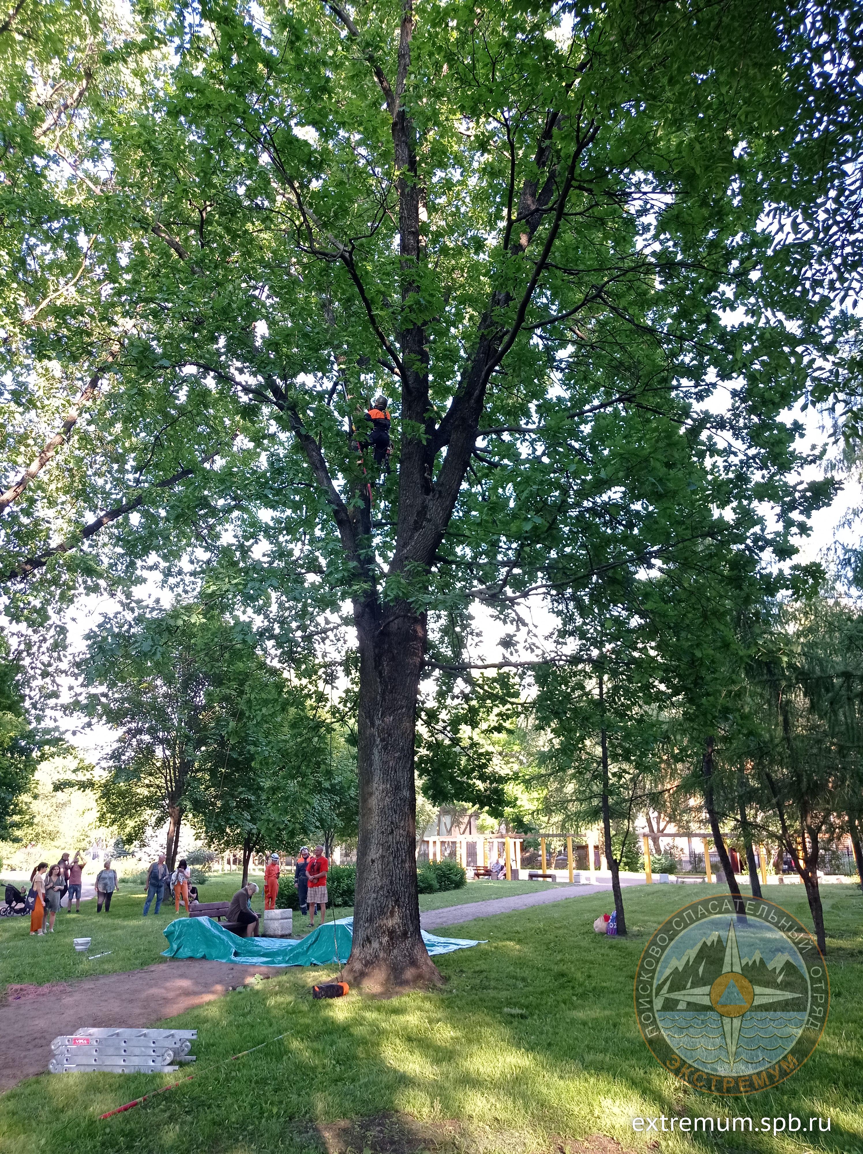 IMG_20240605_185337.jpg