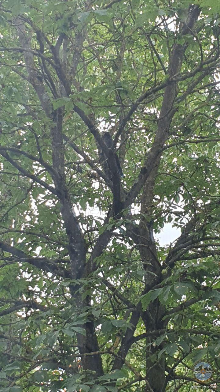 photo1718877471 (1).jpeg