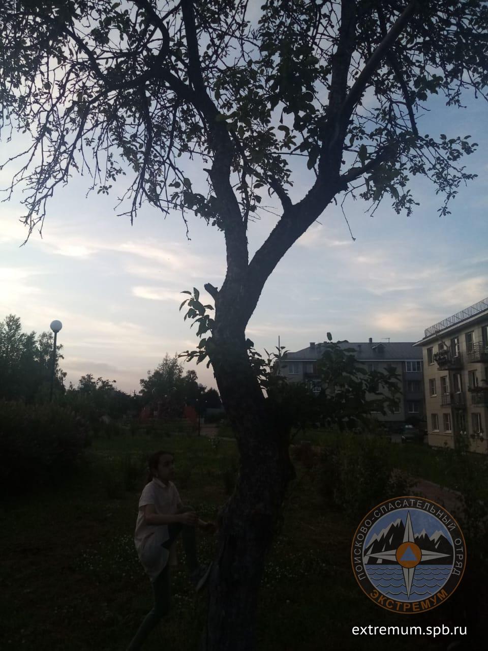 WhatsApp Image 2024-06-30 at 22.05.37.jpeg