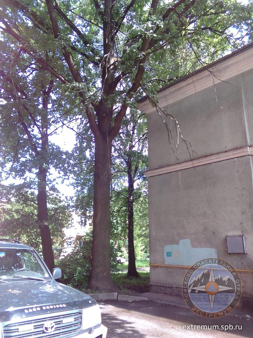 IMG-20240802-WA0000.jpg