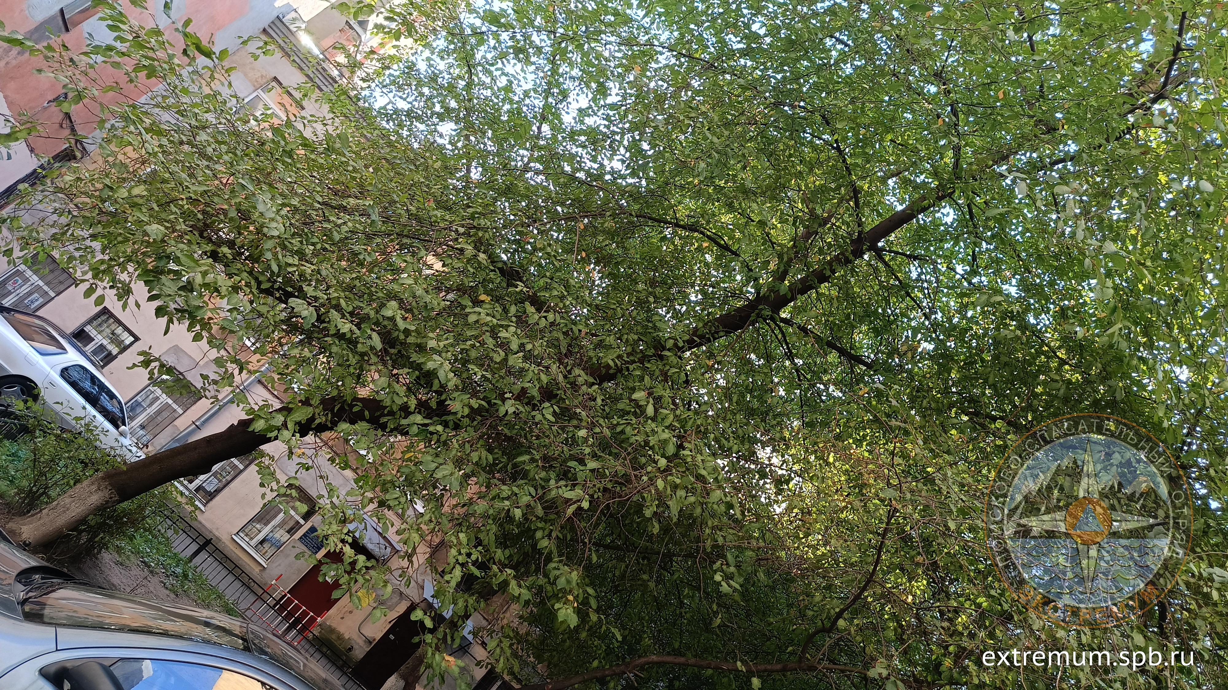 IMG20240818180117.jpg