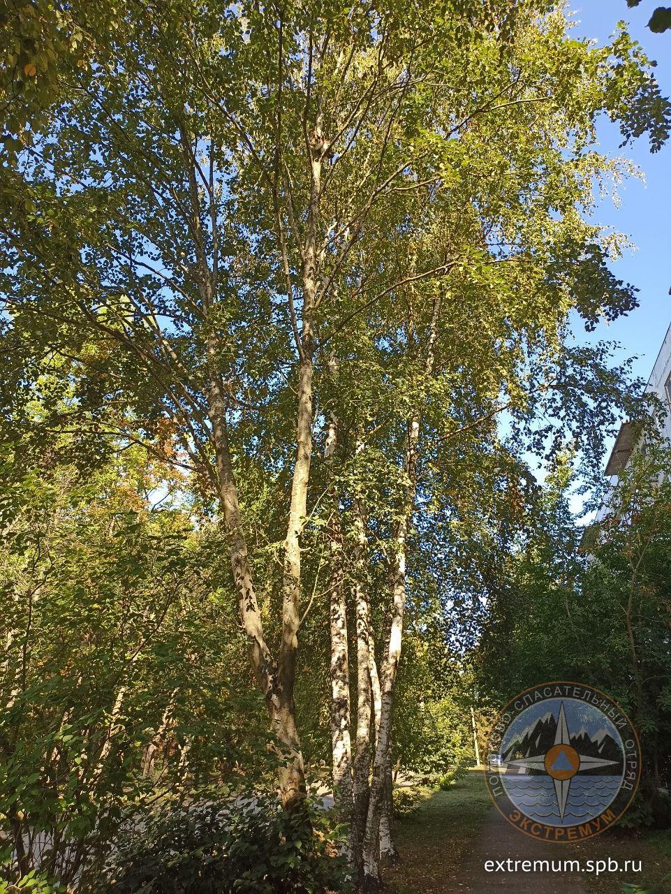 5368598928775306341.jpg