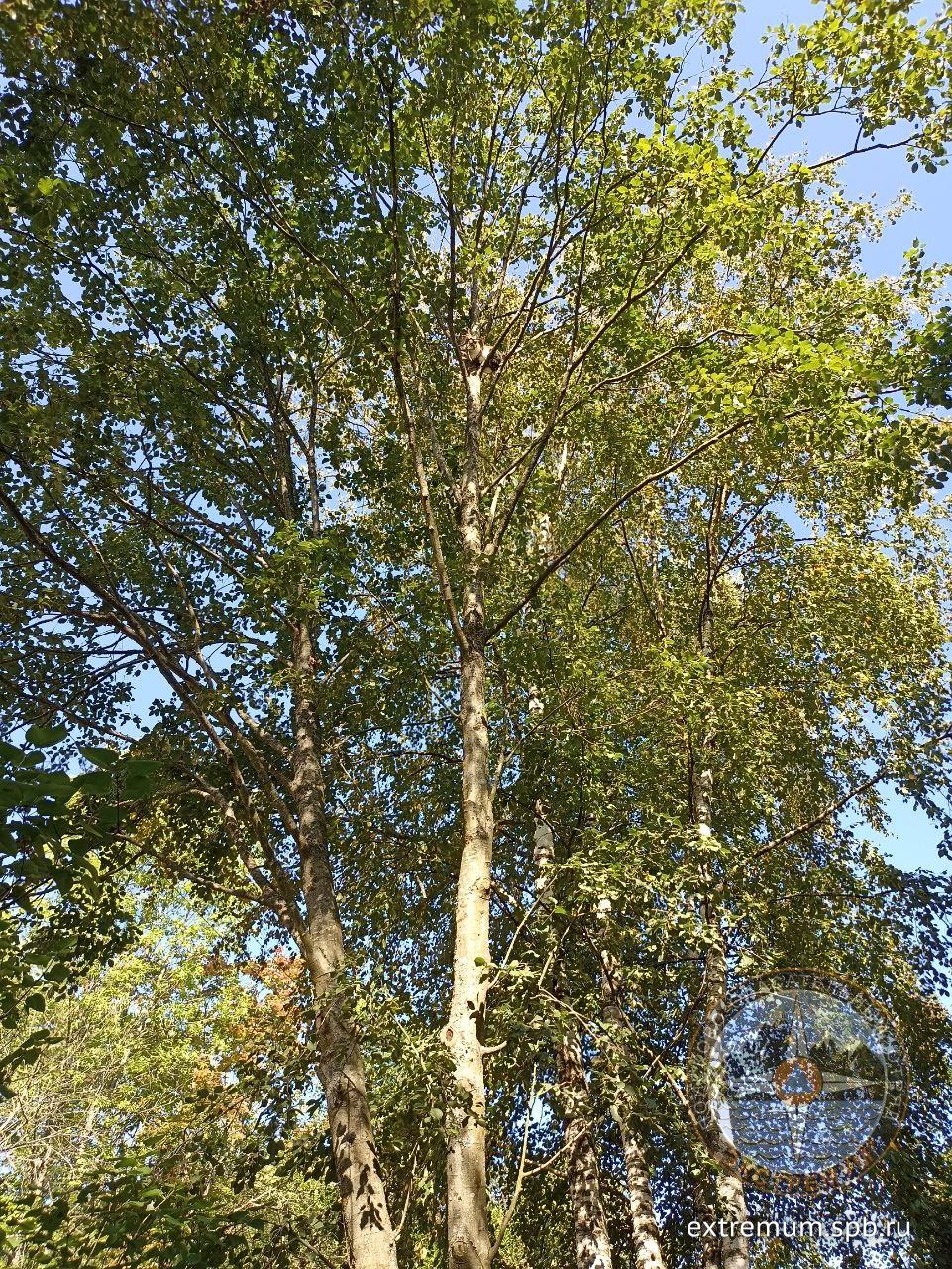 5368598928775306340.jpg