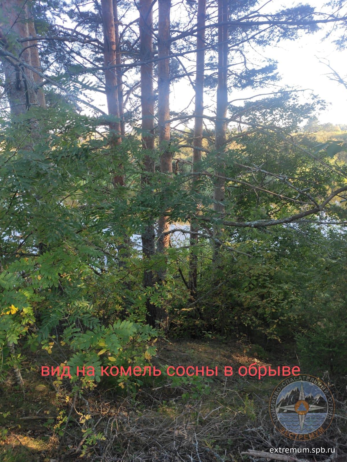 WhatsApp Image 2024-09-01 at 17.57.34 (1).jpeg