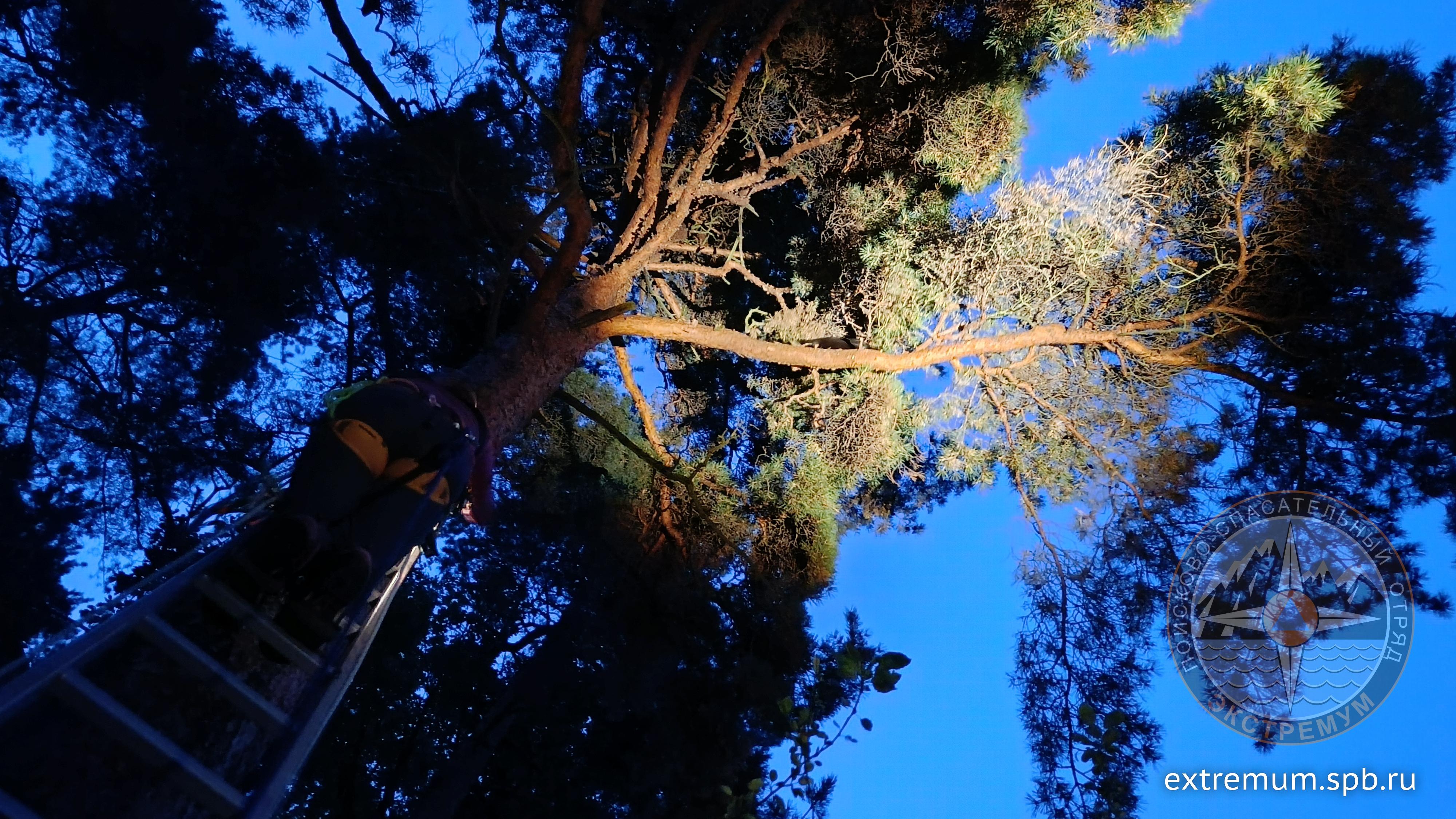 IMG20240902204001.jpg