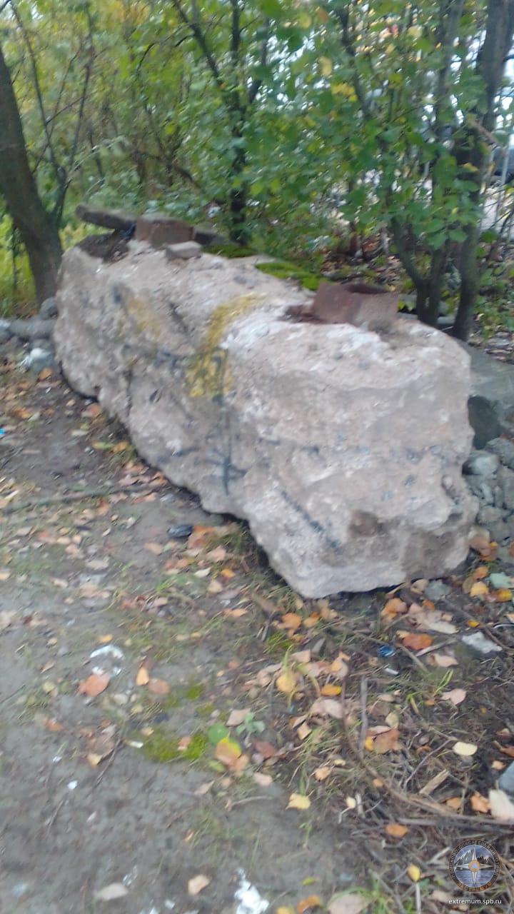 IMG-20240928-WA0000.jpg