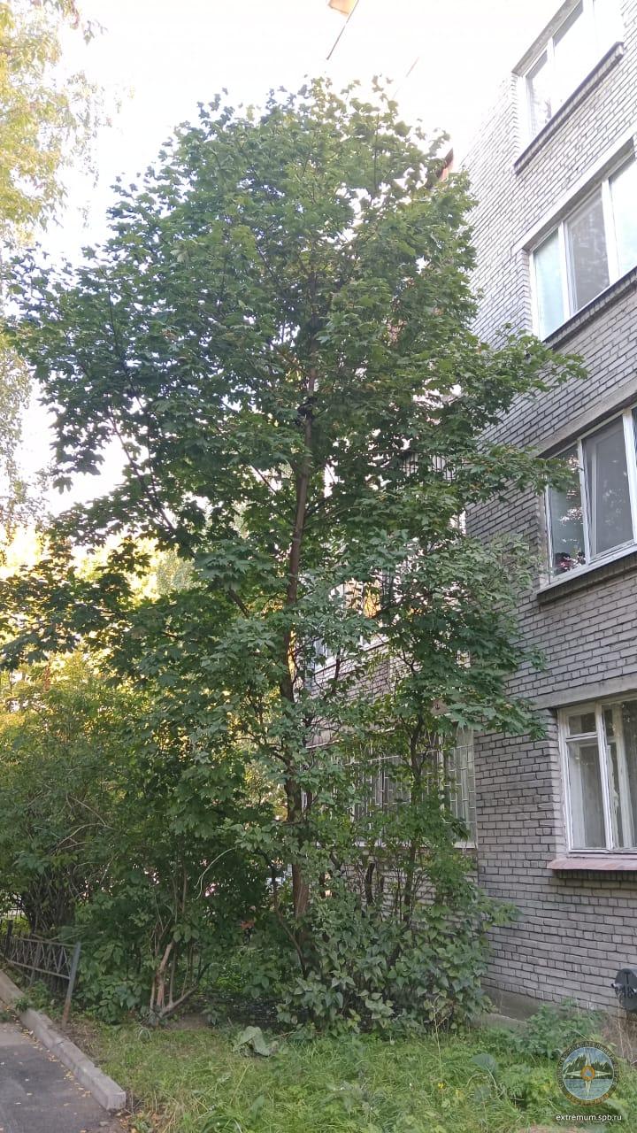 IMG-20241006-WA0006.jpg