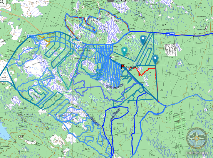 13.10. вечер.png