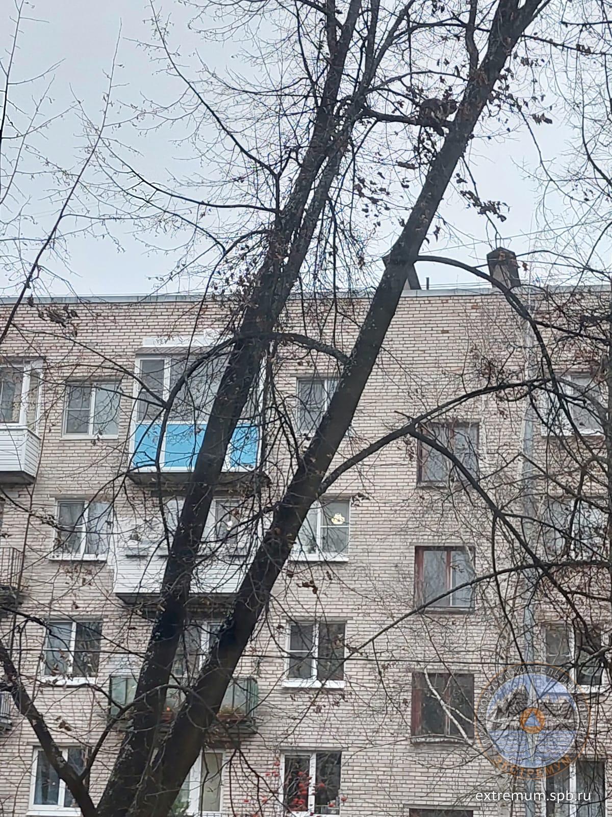 IMG-20241109-WA0002.jpg
